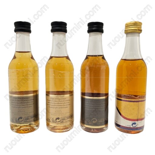 CO-BO-005 BOWEN COGNAC ,set of 4 bottles : VS , VSOP,NAPOLEON,Aperitif - Hình ảnh 2