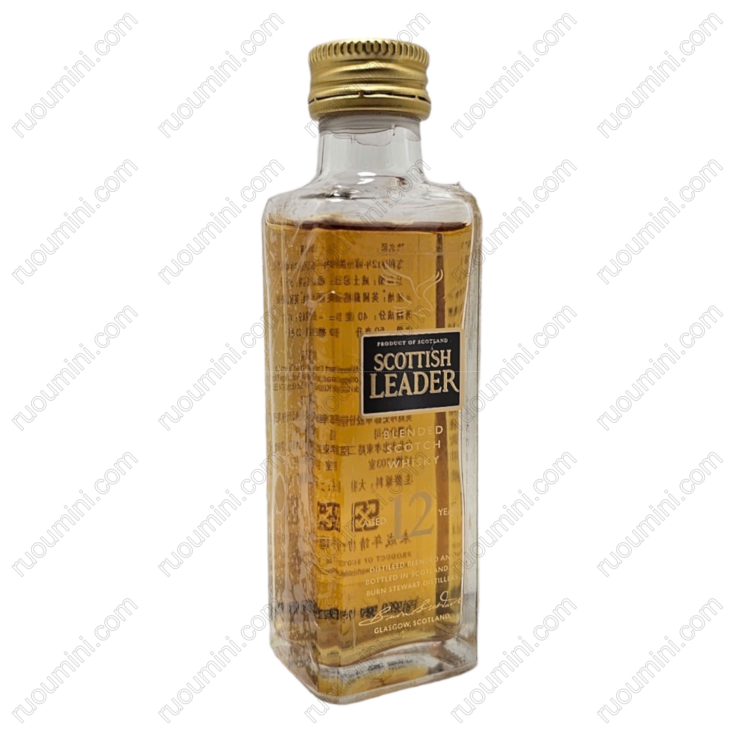 WH-SCOT-006 Scottish leader 12 years old